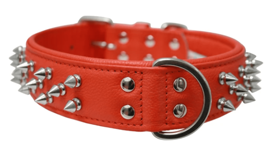 Amsterdam Dog Collar by Angel Multi Line Spiked Collar, 22" X 1.5" , Goldfish Orange