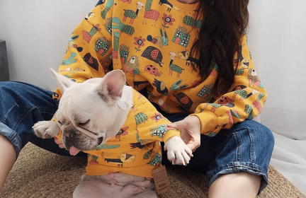 Animal Pattern - Matching Pet and Owner Clothing Set (Color: Yellow, size: small)