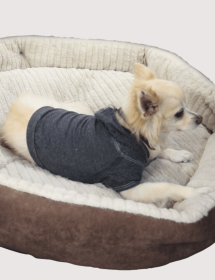 Doggy Hoodie (Color: Black, size: XL)
